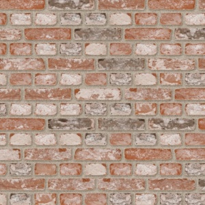 Terca Rustica Oud Veldsteen (215 x 65 x 23 mm) rost bej