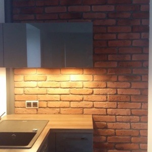 caramida aparenta british brick tiles gothic perete interior