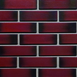 Caramida Aparenta Klinker ETNA (250 x 65 x 10 mm) 1