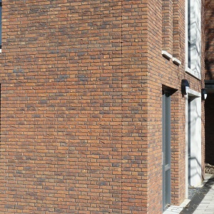 Caramida plina DF Koper Roodbont 215x100x65 mm exterior