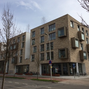 Caramida plina DF Ladoga 215x100x65 mm exterior