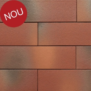 Coltar klinker subtire Terca Armis Garnet Red 215x65x9 mm