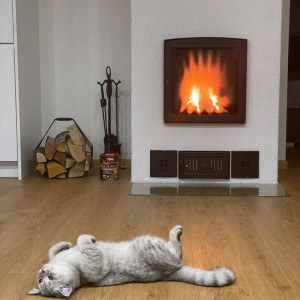 Semineu Modular Tanel cu pisica
