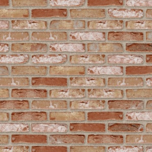 Terca Rustica Oud Kempisch (215 x 65 x 23 mm) rost bej