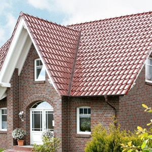 Caramida Klinker Jever, structurata, NF (240x115x71 mm) fatada