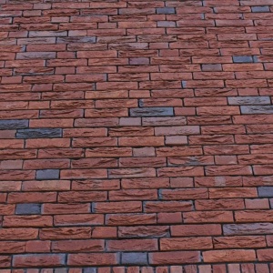 Caramida plina Rosso Bont DF 215x100x65 mm