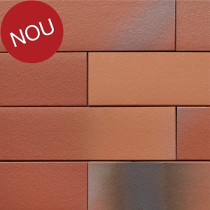 Coltar klinker subtire Terca Armis Hansa Red 215x65x14 mm
