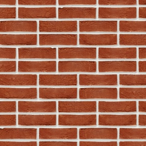 Terca Pagus Donkerrood (215 x 65 x 23 mm) rost alb