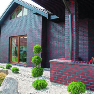 Caramida Aparenta Klinker ETNA (250 x 65 x 10 mm) casa