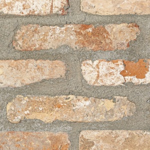 Caramida plina Occitan Doggi 2.0 28x14x5 cm