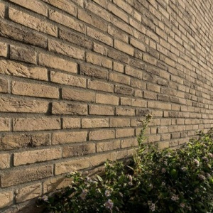 Caramida plina Tatra DF 215x100x65 mm