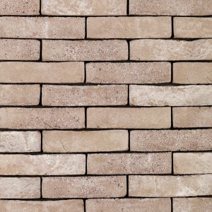 Coltar klinker standard Terca Forum Prata Genuanceerd 215x65x23 mm