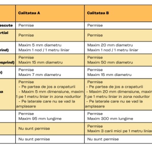 standard calitate dusumea lemn masiv