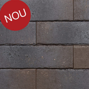 Terca Pelaris Pecan Brown (215 x 65 x 14 mm)