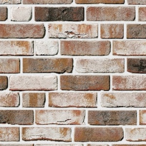 Caramida Klinker Geestbrand, gri mineral, NF rost alb
