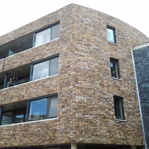 Caramida plina DF Royal Emerald 215x100x65 mm cladire