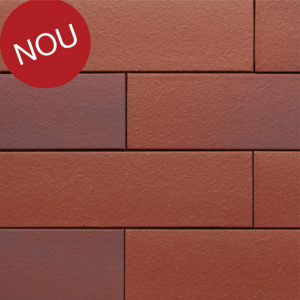 Terca Armis Cardinal Red (215 x 65 x 9 mm)