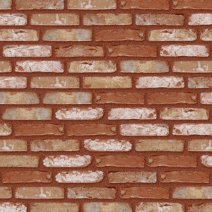 Terca Rustica Oud Kempisch (215 x 65 x 23 mm) rost rosu