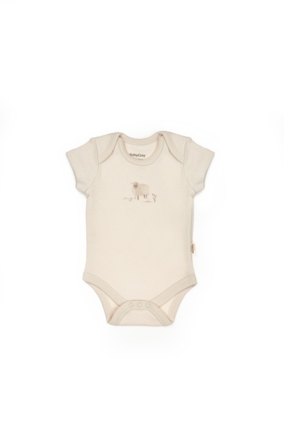 Set de 10 piese pentru nou nascut, 100% bumbac organic, Lamb, BabyCosy - Img 6