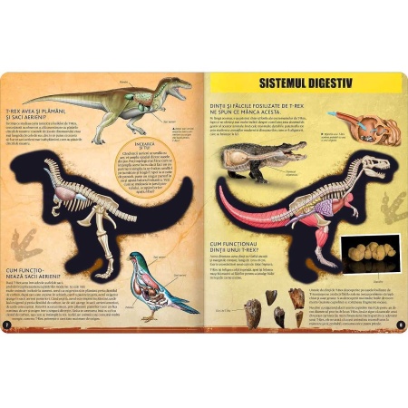 T-REX – model 3D Editura Kreativ EK6537 - Img 2