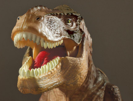 Proiector 2 in 1 - T Rex - Img 4