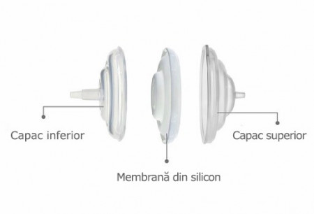 Accesorii pompa - Filtru protectie flux invers - Img 2