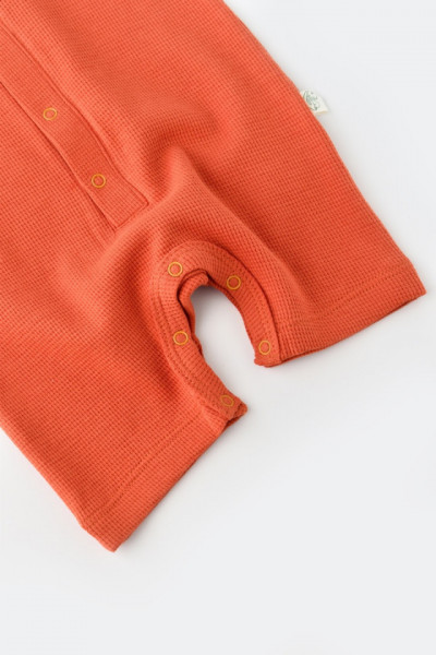 Salopeta cu panataloni scurti - 100% bumbac organic - Scortisoara, Baby Cosy (Marime: 12-18 Luni) - Img 6