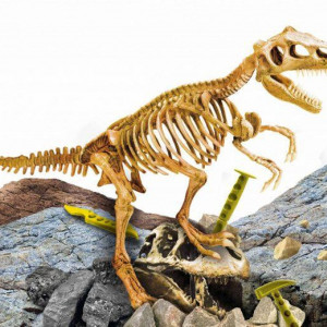 Experimentele micului geniu - Kit paleontologie T-Rex - Img 2