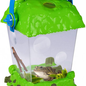 Observator insecte tip habitat - Geosafari - Img 4