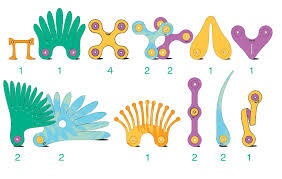 Clixo® joc magnetic de construit - Pasari tropicale (22 piese) - Img 5