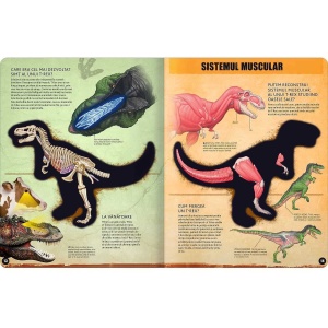 T-REX – model 3D Editura Kreativ EK6537 - Img 3
