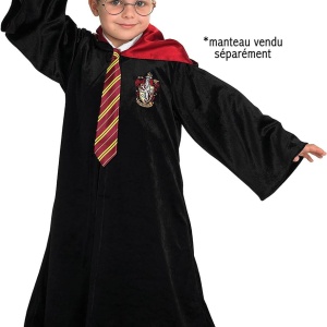 Accesorii Harry Potter - Bagheta, cravata & ochelari - Img 2
