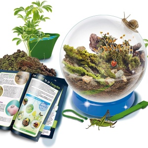 Experimentele micului geniu - Habitate si ecosisteme - Img 2