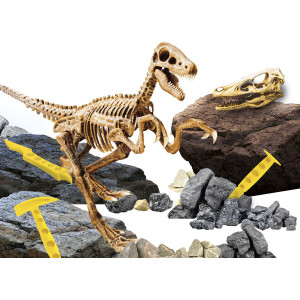 Experimentele micului geniu - Kit paleontologie Velociraptor - Img 4