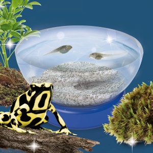 Experimentele micului geniu - Habitate si ecosisteme - Img 3