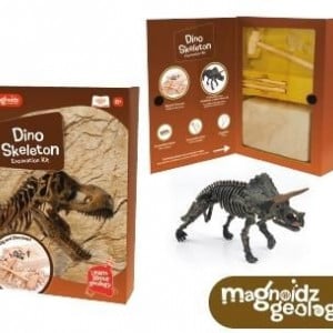 Kit excavare - Dinozaur