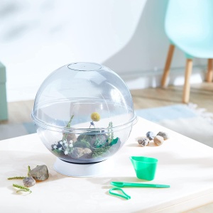 Experimentele micului geniu - Habitate si ecosisteme - Img 4