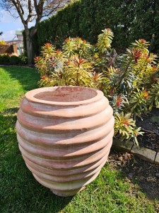 Neo Koronios Pink 50 x 45 - Img 1