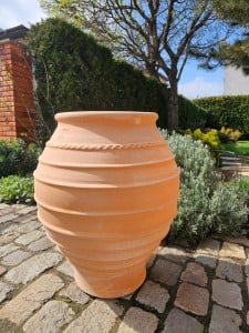 Koronios Classic_1 70 x 60 - Img 2