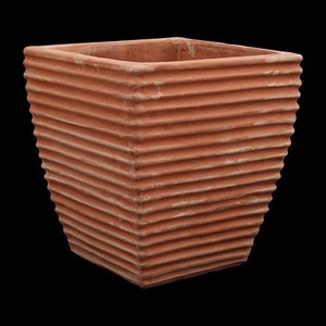 Tzarogenis 36 x 31 x 31