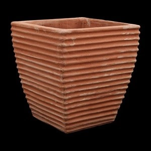 Tzarogenis 36 x 31 x 31