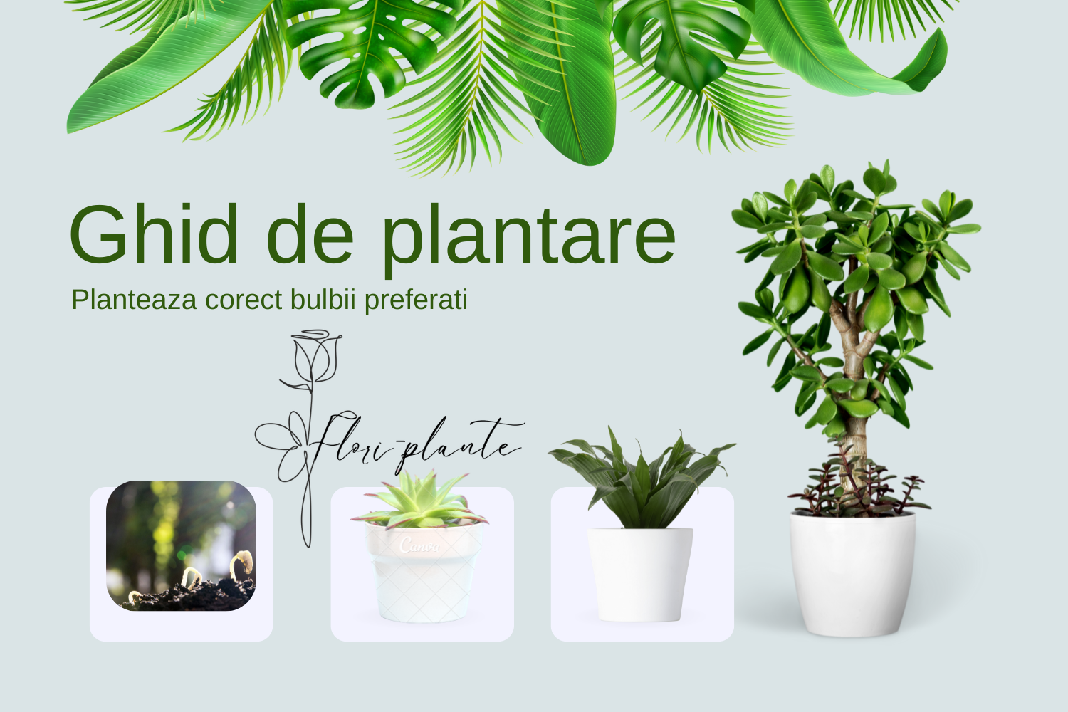 Cum plantezi corect bulbii de flori – ghid pas cu pas pentru începători