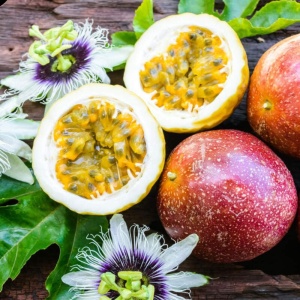 Maracuja Passiflora edulis - Floarea pasiunii (fructe comestibile) - Radacina Ambalata - H 70-90 cm