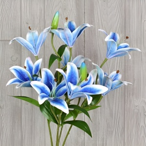 Crin Imperial Blue Parfumat – Pachet 1 Bulb - Aqua Flowers - Img 2