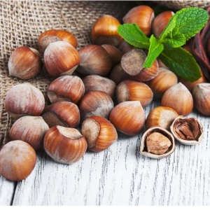 Alun Corylus Avellana - ghiveci 3l-pentru Grădinărit - Floraria Aqua