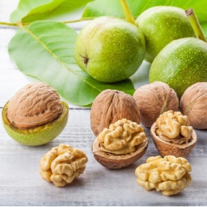 Nuc - Anul 3, ghiveci 3l - Pom Fructifer Productiv și Durabil - Floraria Aqua - Img 2