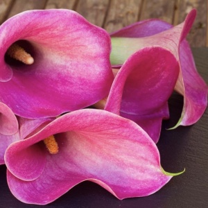 Cală - Hot Flashes – Pachet 1 bulb - Img 4