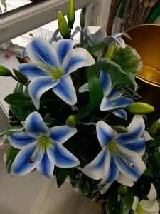 Crin Imperial Blue Parfumat – Pachet 1 Bulb - Aqua Flowers - Img 1