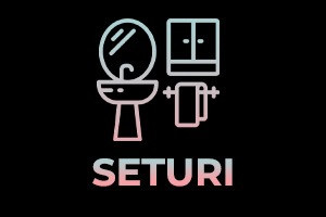 Seturi