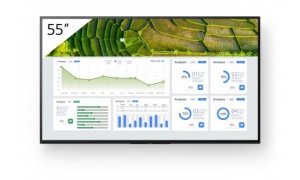 Monitor signage Sony BZ30L, 55", 440nit, 24/7, UHD, panel IPS, D-LED, 8ms, contrast static 1200:1, contrast dinamic 300000:1, mătuire 1%, Android 10, stocare 16GB. Miracast, Chromecast built-in, AirPlay, Apple HomeKit, Google Play Store. Conectivitate: